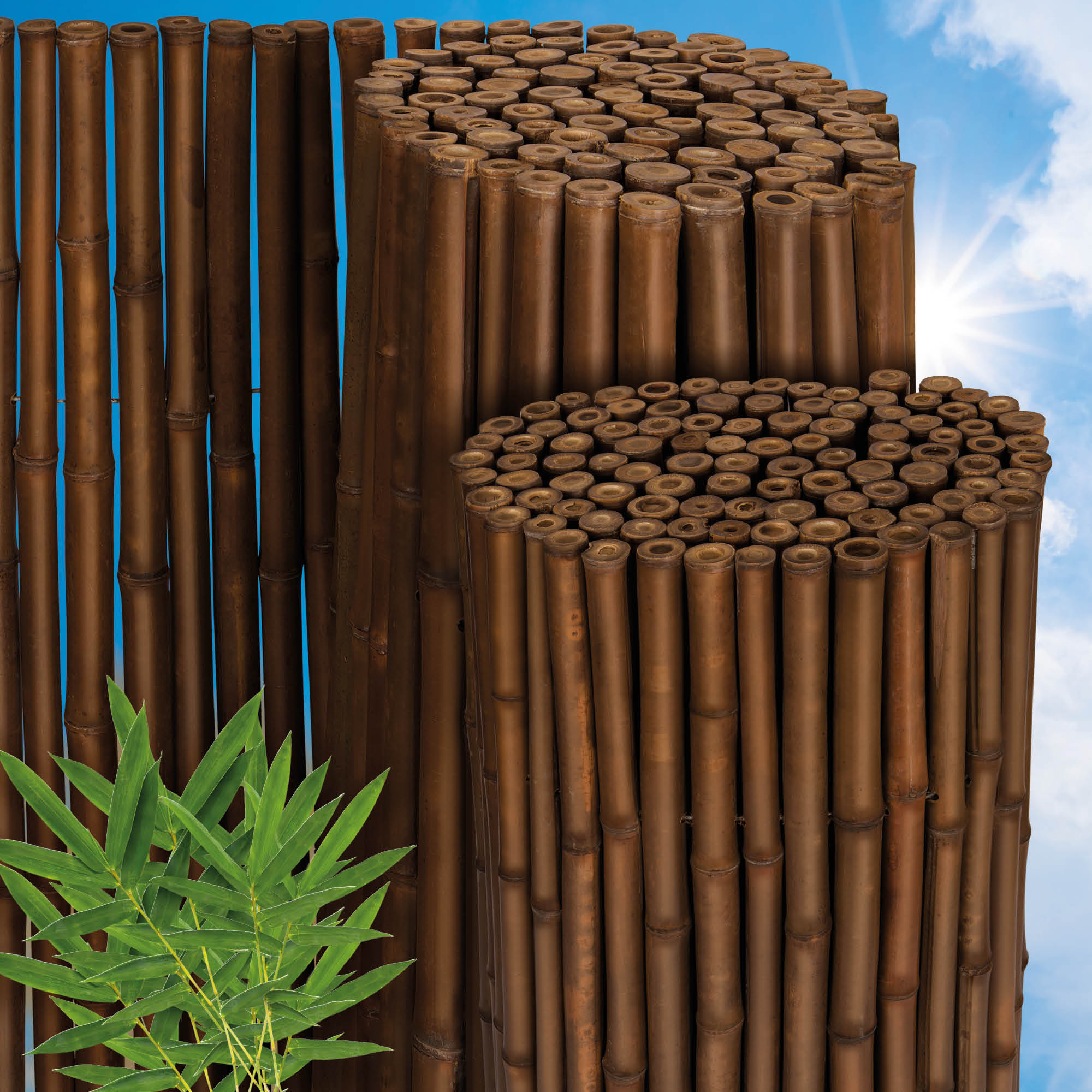 Bambusmatte Sichtschutz Bambus Garten Zaun Natur Windschutz Sichtschutzzaun  | eBay.de
